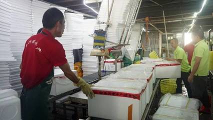 日配超70噸，九江魚興港以預(yù)制菜解鎖魚的百變吃法
